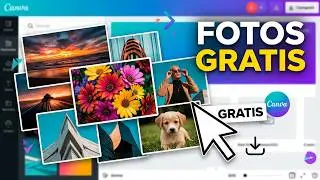 D&oacute;nde Encontrar Fotos Gratis y Sin Copyright en Canva (IA de Canva)