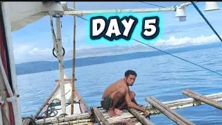 Day 5