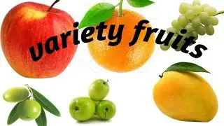 #net99 #fruits Fruits's name and picture| variety fruits