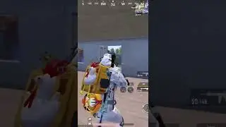 Live Custom Room Daily On YouTube @tigerqueenyt  #tigerkingyt