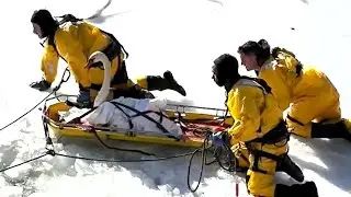 Firefighters rescue swan frozen in icy waters of Norwalk River in Connecticut