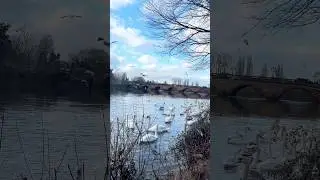 #worcester city, riverside walk