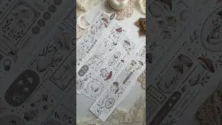 this is your sign to start using pet tapes in your journals 🤎🎀✨ #washitape #pettape #artist #bujo