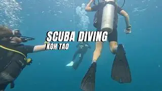 Scuba daving WHITE ROCK-KO TAO