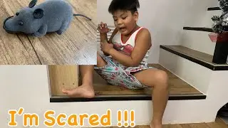 RAT PRANK! nabulilyaso pa!Nagulat kaya sila?