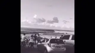 The Elephant Truck