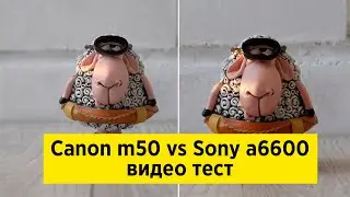 Sony a6600 vs Canon m50