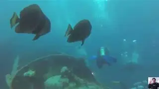 My diving in April 2019