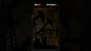 World Market News of the 3 September with FXOpen #gbpusd #usd #crudeoil #brent #wti #currencytrading