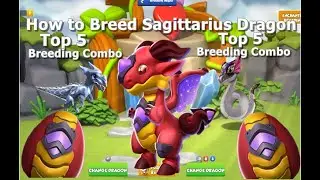 How to Breed Sagittarius Dragon-Dragon Mania Legends | Top 5 Breeding Combination Sagittarius Dragon