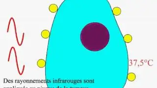 nanoshells
