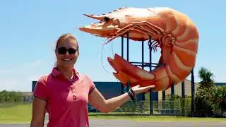 Australia's love for giant roadside monuments