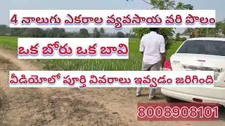 నాలుగు ఎకరాల వ్యవసాయ వరి పొలం అమ్మకానికి సిద్ధంగా ఉంది// urgentsale// full water//ఎకరానికి 28 లక్షలు