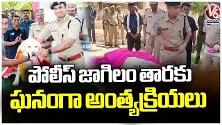 Police Dog Tara Funeral Grandly Held In Adilabad | V6 News