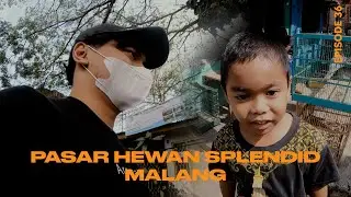 Motret Di Pasar Hewan Splendid Malang | Diriku Dan 35mm - Episode 36
