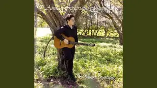 Sonate en Fa majeur, Opus 29 No. 3 : I. Allegro Moderato