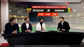 Studio Oddset VM - Gruppspelets avg&ouml;rande