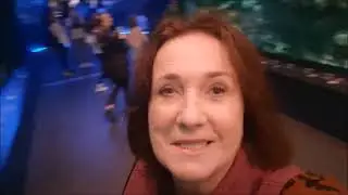 #995 США, Живая планета! Жизнь под водой!