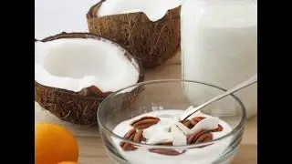 Iogurte Probiótico de Coco - Raw Vegan -Vivo.