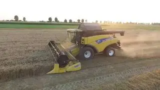 New Holland CR9060  sojaflex 7.5mt  TEAM GIALLO VERDE