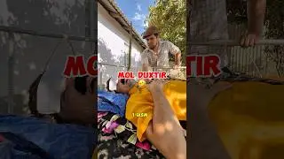 MOL DUXTUR 🤣   Serial (1-qism)