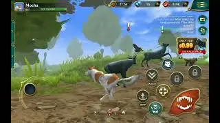 The 4 guardians pt.6