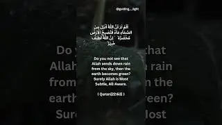 Rain: blessing from Almighty🤍☝🏼 #allahuakbar #islamicquotes #islam #quran #rain #blessings #shorts
