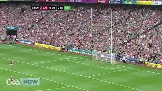 All Ireland Hurling Final 2018 Highlights Galway vs Limerick