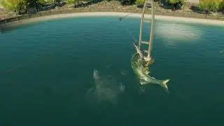 Dunkleosteus' shark feeder animation.