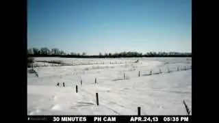 Spring Snowmelt 2013