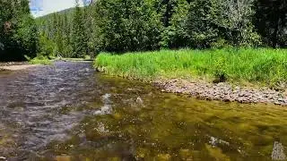 Peaceful Mountain Stream in 4k ASMR, No Talking - 2 Hours
