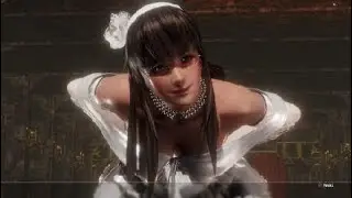 DEAD OR ALIVE 6: Hitomi Vs Hayate [Request by Shenron206]