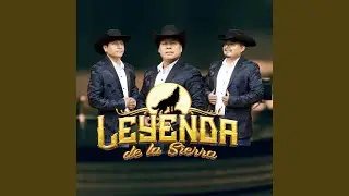 El Corrido De Teodomiro Rubio