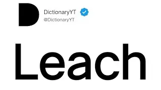 Leach Meaning in English