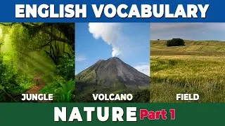 The World of Nature: English Vocabulary Quiz for Beginners Part 1