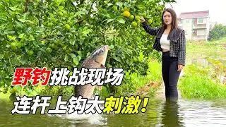 野钓只为大鱼！连杆上钩太刺激！卖鱼那刻真的暴富了！