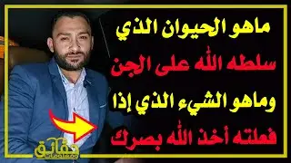 ماهو الحيوان الذي سلطه الله على الجن⁉️ وماهو الشيء الذي إذا فعله الإنسان أخذ الله بصره⁉️🤔