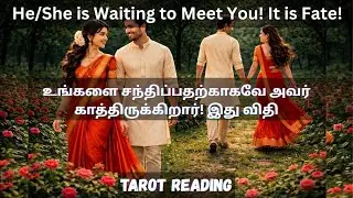உங்களை சந்திப்பதற்காகவே அவர் காத்திருக்கிறார்! இது விதி🔮He/She is waiting to meet you! It is fate!