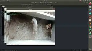 Usando ROI Com OpenCV python