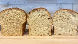 How Much Whole Wheat Should You Put In Your Sourdough?