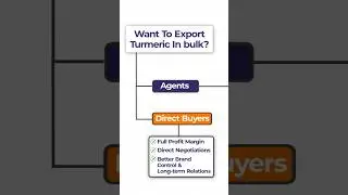 Turmeric Export from India: Agents vs Direct Buyers in Global Trade | #haldiexport