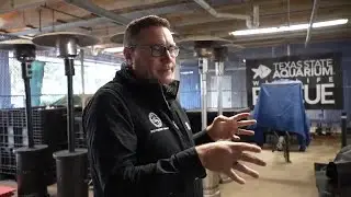 Major cold-stunning event expected to impact thousands of sea turtles in South Texas