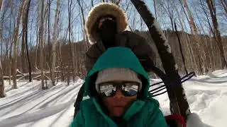 Winterdance Dogsledding