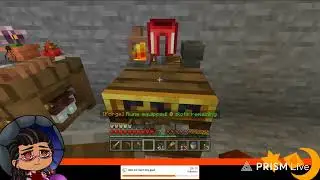 BizarreWinds Stream Archive: One Year World Minecraft (4)