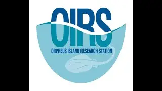 OIRS Site & Safety Induction December 2025