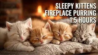 Cozy Fireplace & Purring Kittens for Deep Sleep,Study & Stress Relief #purringcat #sleepsounds #cat