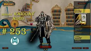 Turtle WoW [253] Paladin sunday raidday aq20