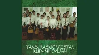 Vu Plavem Trnaci