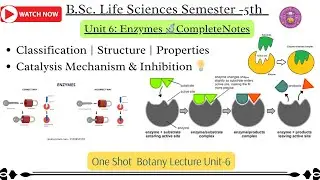 Unit 6: Enzymes | Classification, Structure, Properties, Catalysis Mechanism & Inhibition