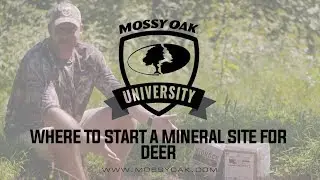 Where To Start A Mineral Site For Deer